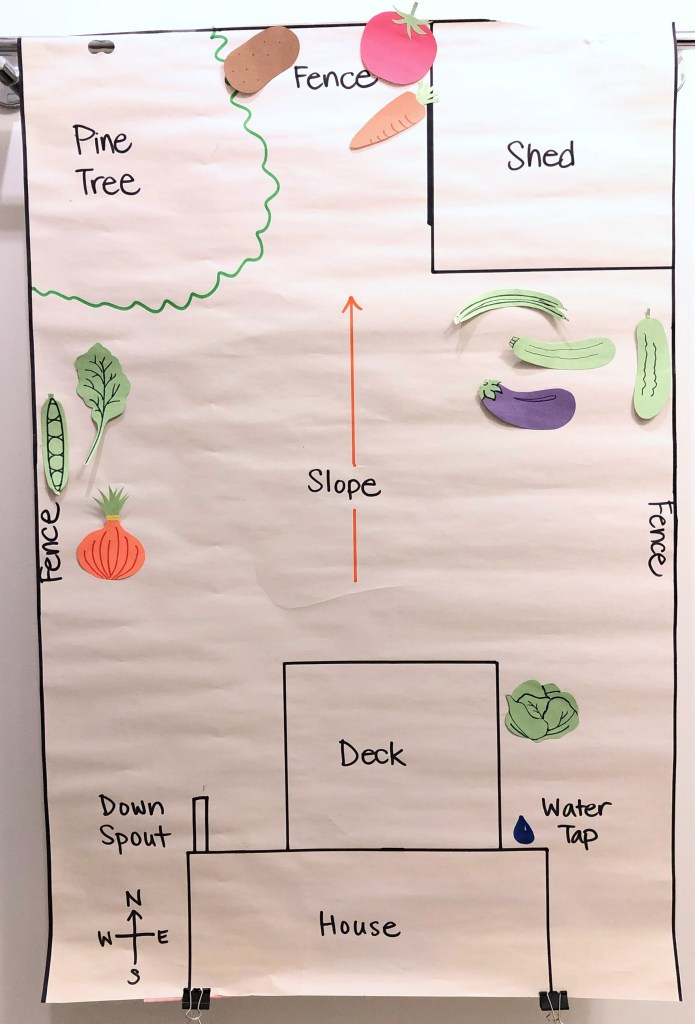 Hand-drawn garden plan incorporating garden map and vegetable placement based on plant needs