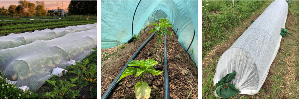 Collage of row cover