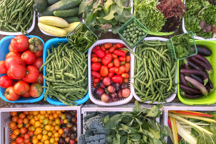 Photo of many baskets of vegetables harvested during Grow Veggies class