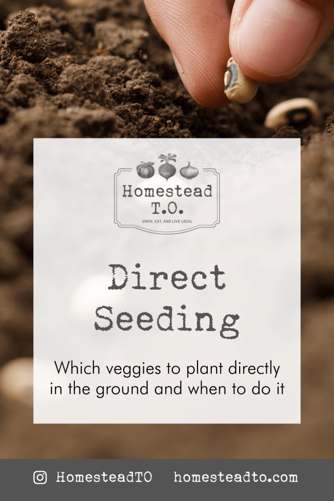 Image linked to our mini gardening guide, Direct Seeding: which veggies to plant directly in the ground and when to do it