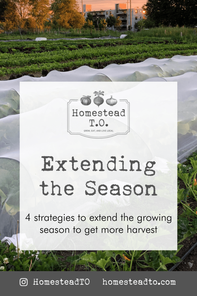 Image linked to our mini gardening guide, Extending the Season: four strategies to extend the growing season to get more harvest