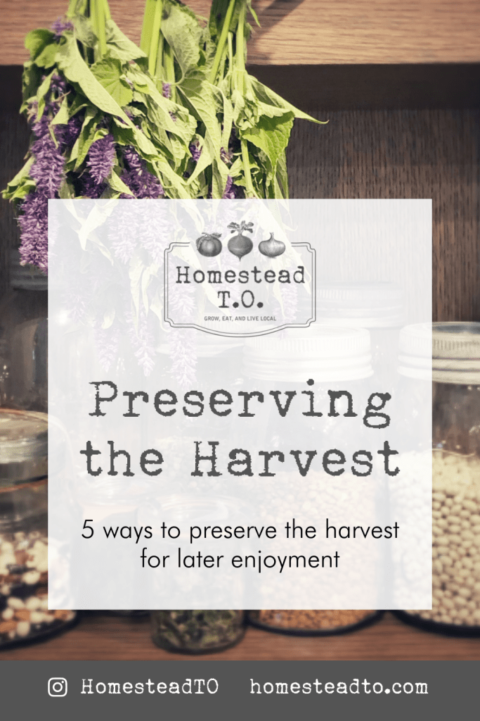 Image linked to our mini gardening guide, Preserving the Harvest: five ways to preserve the harvest for later enjoyment