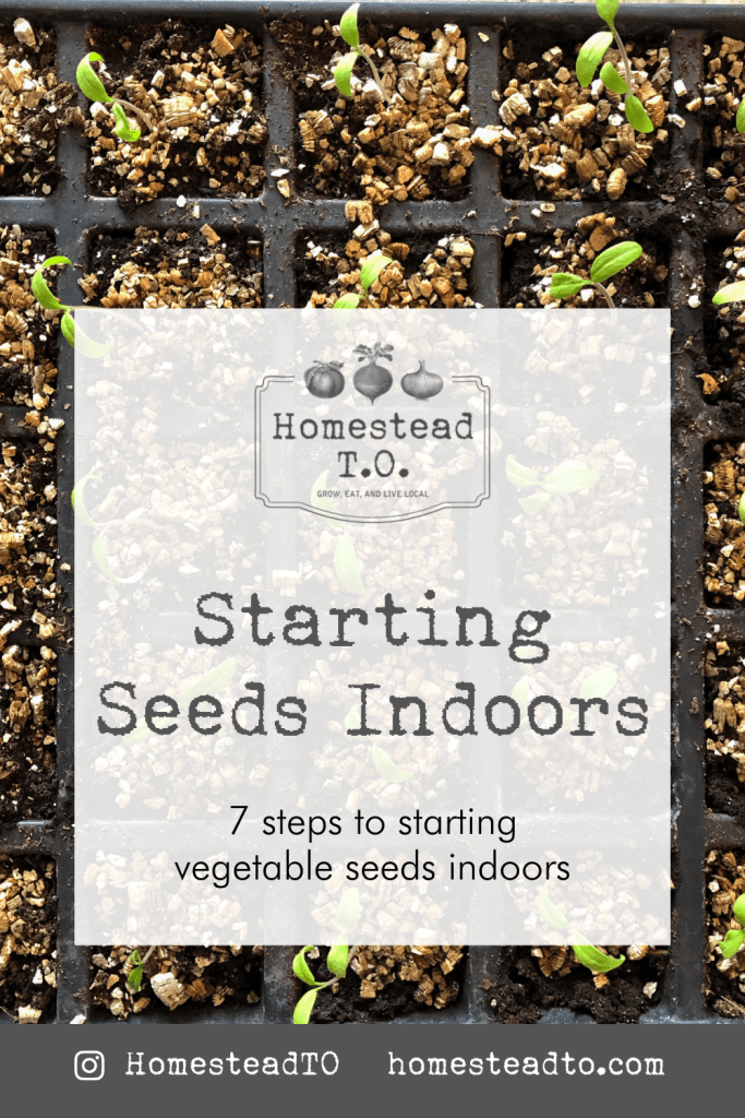 Image linked to our mini gardening guide, Seed Starting Indoors: seven steps to starting vegetable seeds indoors