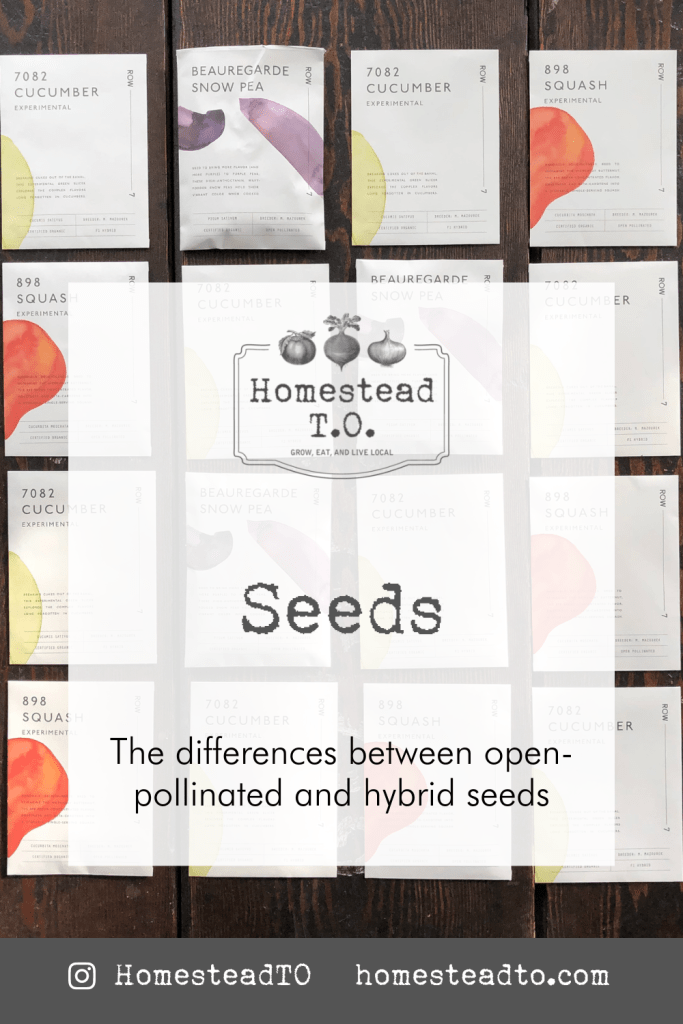 Image linked to our mini gardening guide, Seeds: the difference between open-pollinated and hybrid seeds