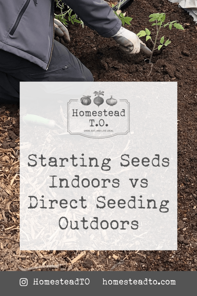 Image linked to our mini gardening guide, Starting Seeds Indoors versus Direct Seeding Outdoors