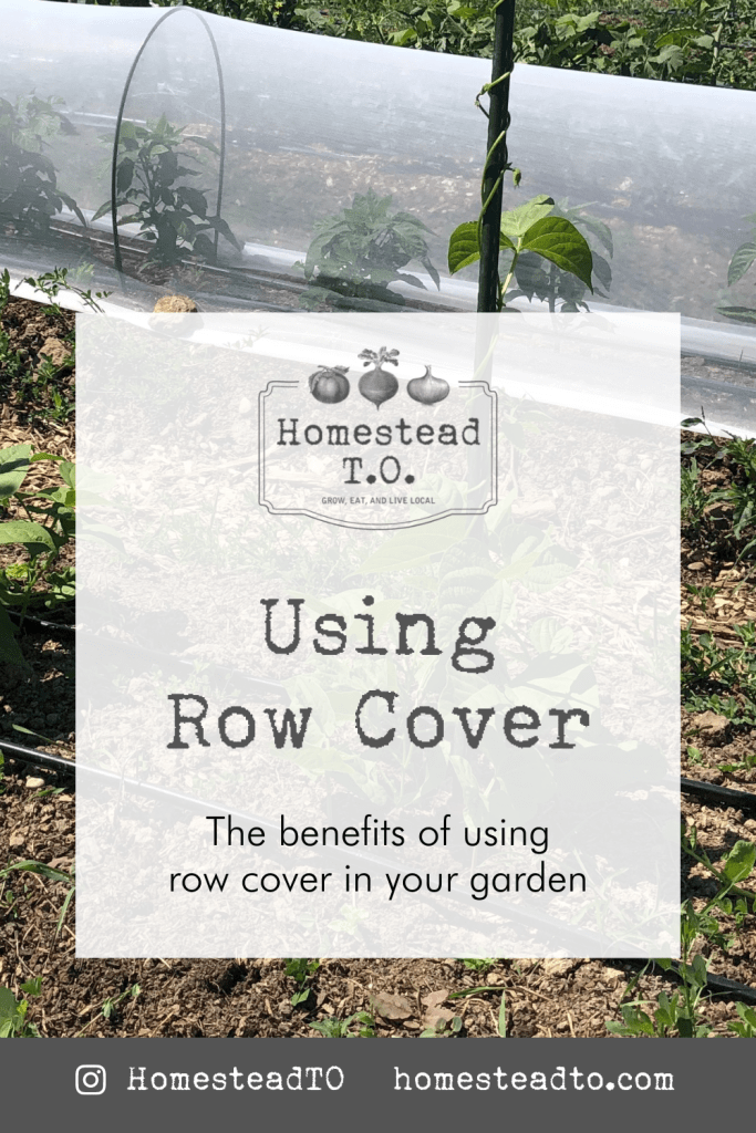 Image linked to our mini gardening guide, Using Row Cover: the benefits of using row cover in your garden