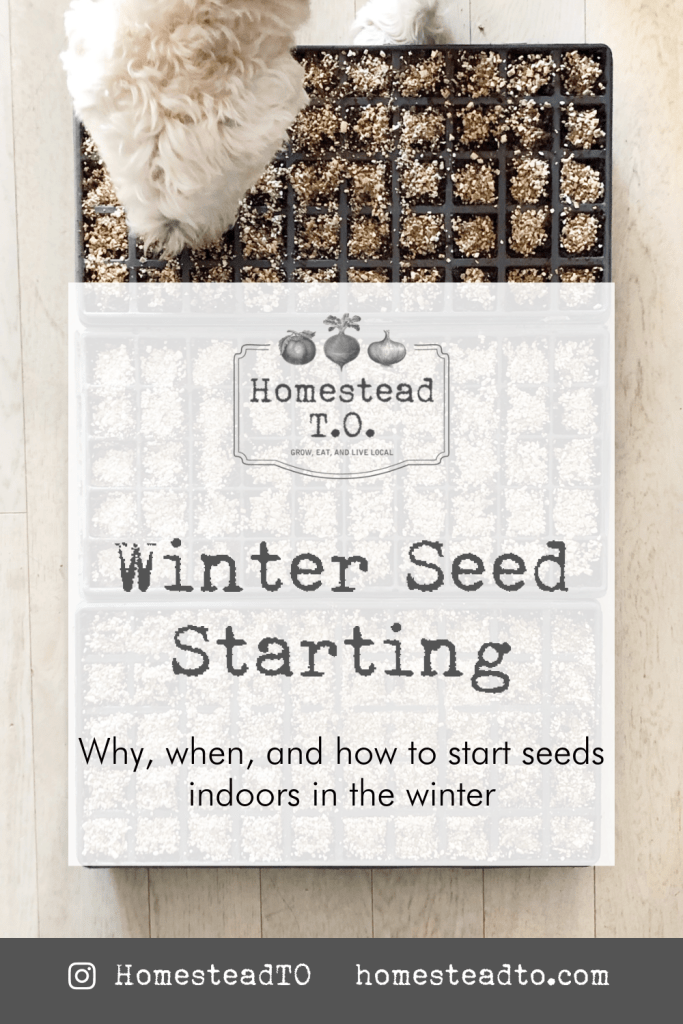 Image linked to our mini gardening guide, Winter Seed Starting: why, when, and how to start seeds indoors in the winter